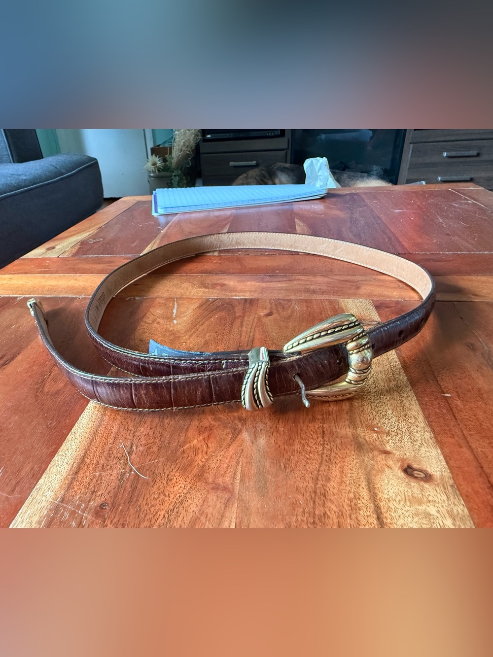 Ladies Brighton Brown Leather Belt with Decorative Gold Buckle- Small/Medium